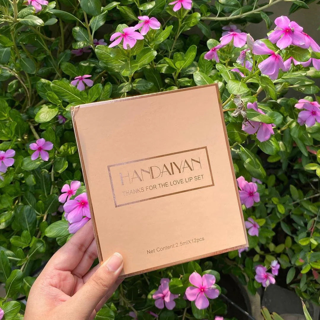 Velvet Matte Liquid Lipstick